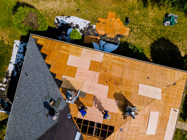 Best Metal Roofing Contractor  in Olney, IL