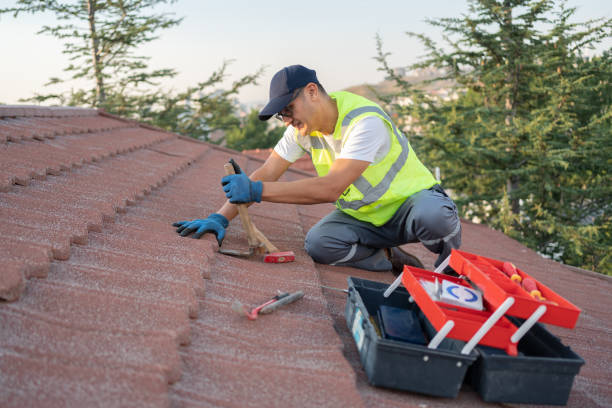 Best Storm Damage Roof Repair  in Olney, IL