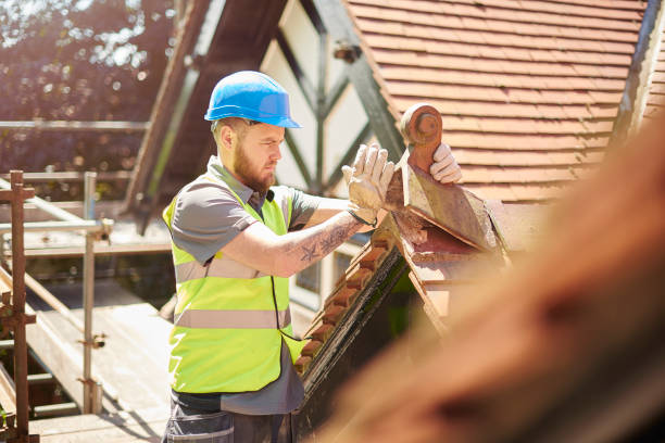 Best Roof Gutter Cleaning  in Olney, IL